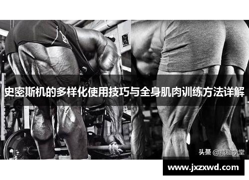 史密斯机的多样化使用技巧与全身肌肉训练方法详解