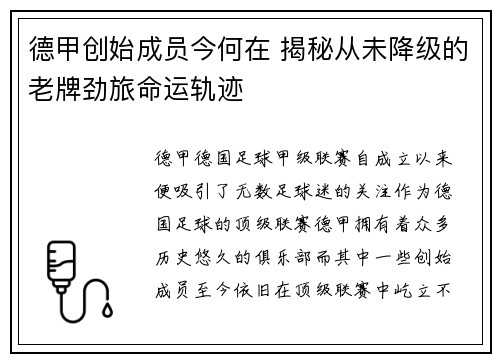 德甲创始成员今何在 揭秘从未降级的老牌劲旅命运轨迹